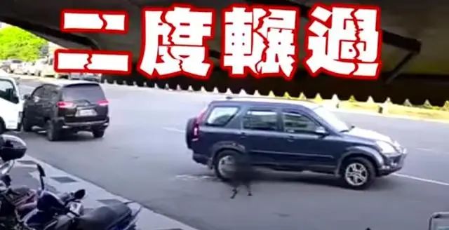 行徑惡劣！紅衣男子開車3度碾壓小黑狗，下車還再補踹一腳 寵物 第1張