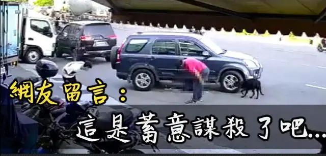 行徑惡劣！紅衣男子開車3度碾壓小黑狗，下車還再補踹一腳 寵物 第9張