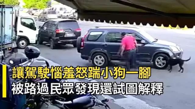 行徑惡劣！紅衣男子開車3度碾壓小黑狗，下車還再補踹一腳 寵物 第7張