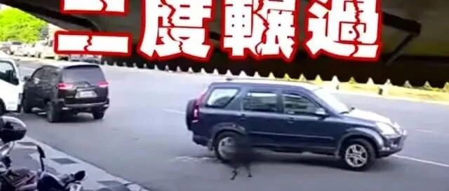 行径恶劣！红衣男子开车3度碾压小黑狗，下车还再补踹一脚