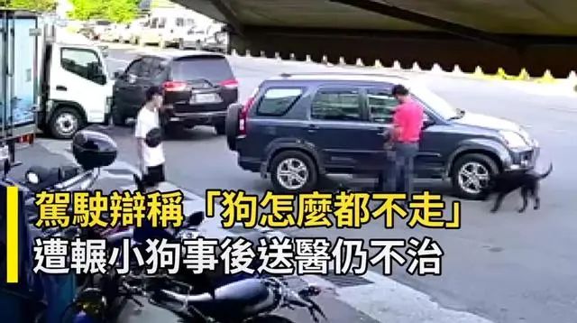 行徑惡劣！紅衣男子開車3度碾壓小黑狗，下車還再補踹一腳 寵物 第8張