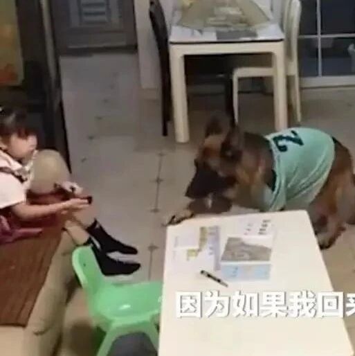 听到主人回家的声音，狗狗立刻提醒小主人关电视！但还是露馅