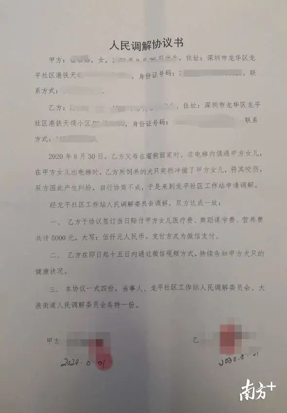 女童逗狗被咬，父親上門把狗摔死，受害者是如何轉變為加害者的？ 寵物 第6張