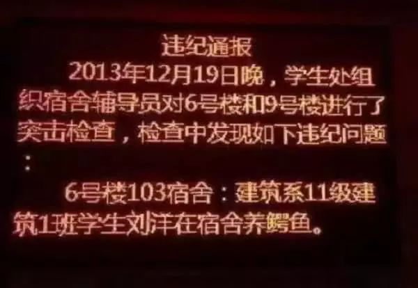 老師「暗訪」大學宿舍, 發現「奇葩」寵物, 看到最後一個我服 寵物 第7張