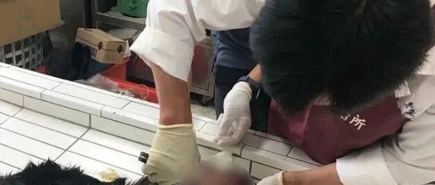 16岁土狗被60岁大爷用哑铃击中致死，只因抢吃了刚买的一块鸡排，太可恶！