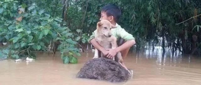 小男孩的房子被水冲走了，他抱着狗狗逃生，眼前画面太让人感动了
