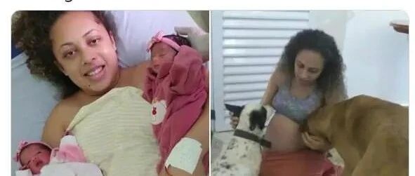 自家爱犬疑因失宠嫉妒咬死主人双胞胎女儿，如今主人不再信任狗