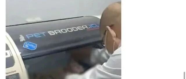 央视呼吁禁止虐动物尽快立法，执行难度巨大，但是意义非凡