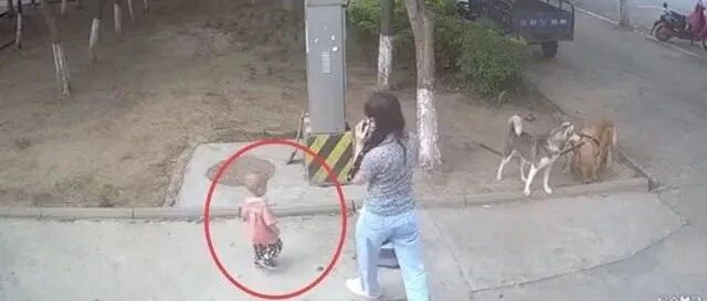 主人怕狗伤人拦住小孩，却被孩子爷爷撞倒！路人：坏人变老了