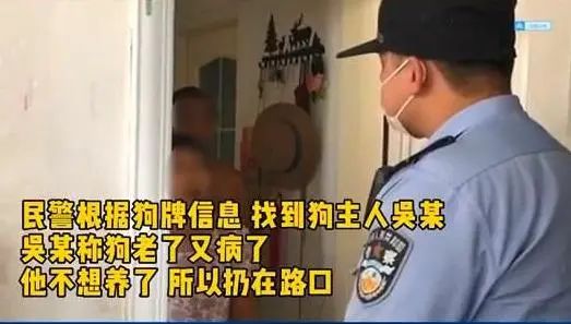 狗狗因年老被棄路邊還被車撞，主人：狗老了不想養了，警方：罰！ 寵物 第2張