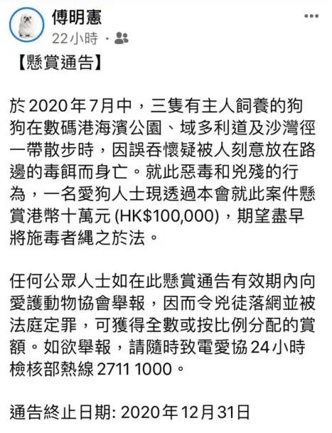 懸賞十萬元捉拿毒狗兇徒！愛狗人士傅明憲連說3次「非常憤怒」 寵物 第3張