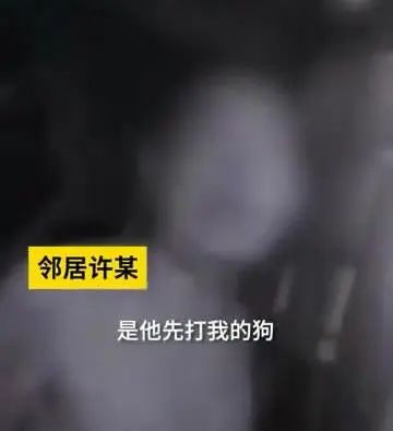 懷孕妻子稱被狗嚇到，丈夫上門理論+打狗，結果被狗主人用刀捅傷 寵物 第3張