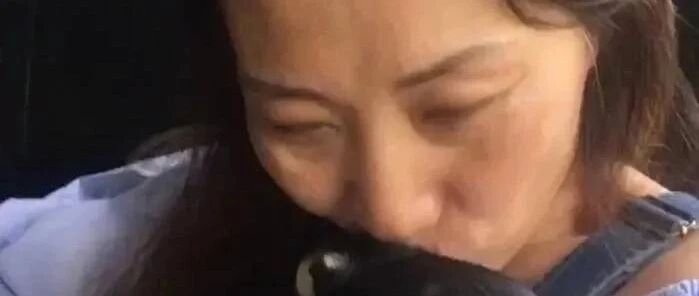 当害怕狗的人遇到害怕人的狗竟然会有这么神奇的化学反应