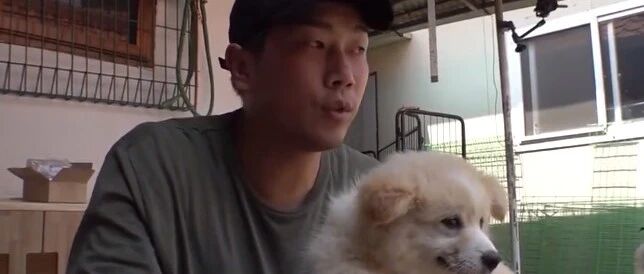 流浪狗妈妈叼着宝宝上门求收养，最后结局让人感动