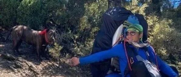 3700米山上的流浪比特犬，没人能靠近它，男子用了5个月带它下山