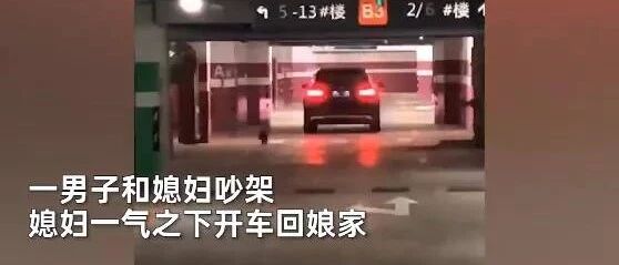 夫妻俩吵完架，媳妇气到开车回娘家，狗狗这回看不下去了