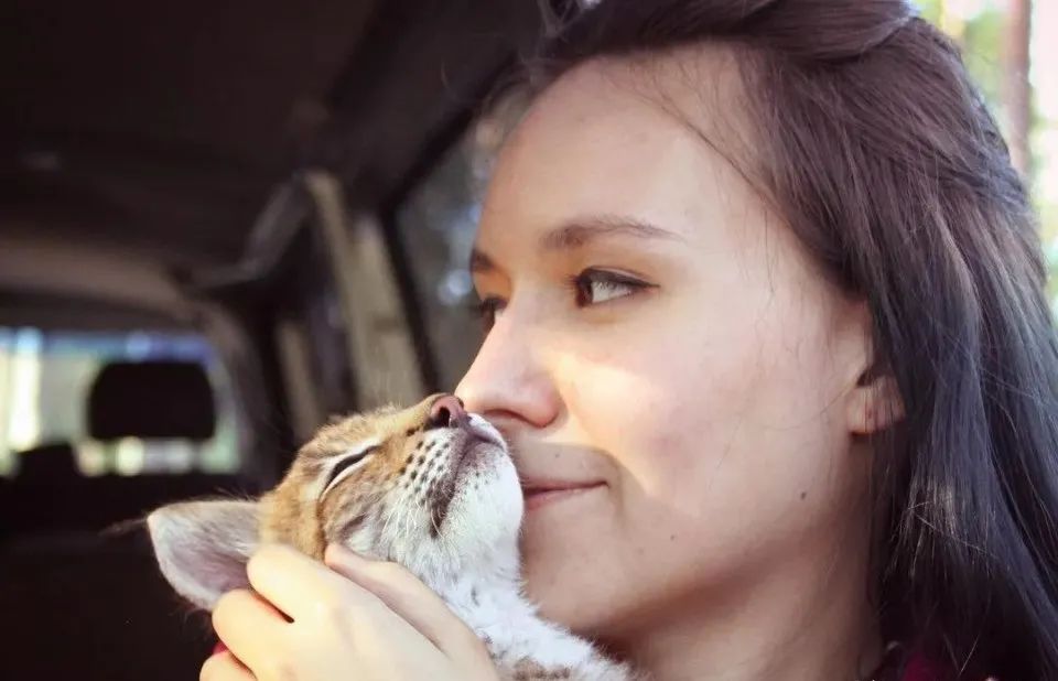 小猞猁獲救後，被一群二哈帶大，這下好了，成功被狗子帶偏了 寵物 第1張