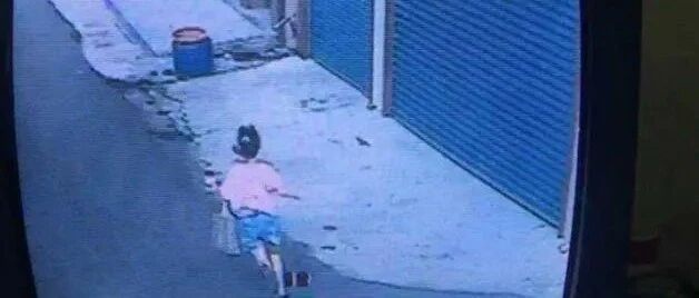 12岁女孩被土狗狂吠追90米，活活被吓死 ，狗主人赔180万