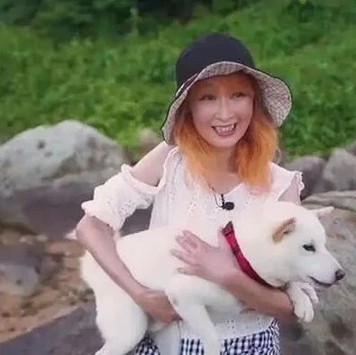 她专从臭水沟、公厕、收容所收养流浪狗，竟花15000元帮狗搞移民