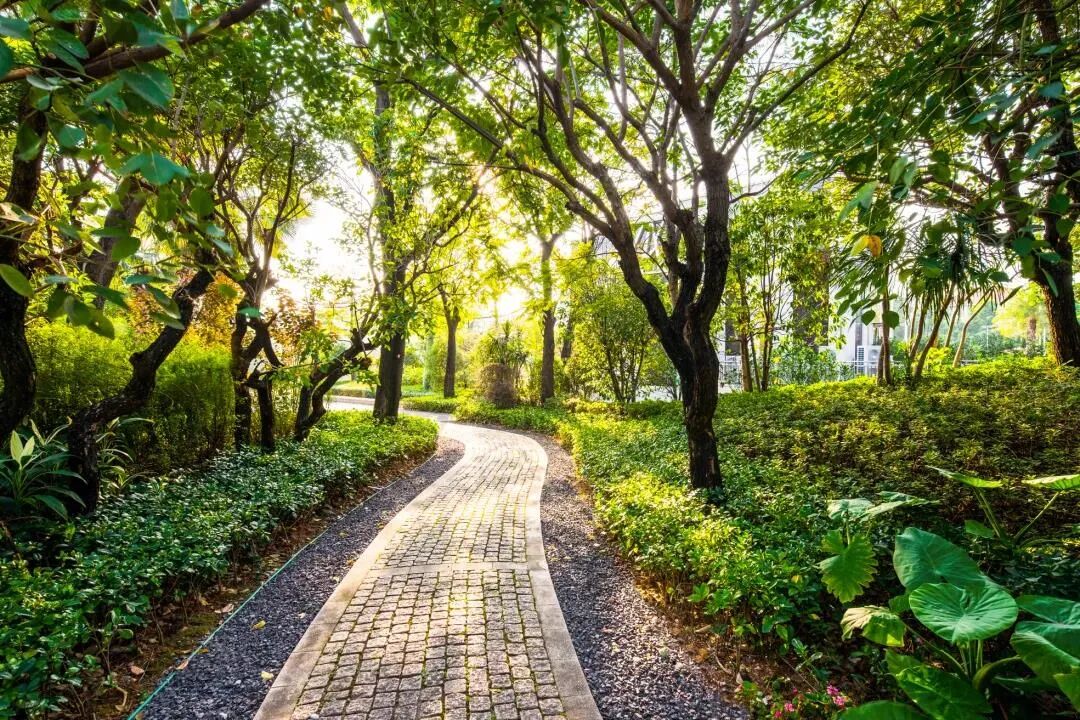 广州【天颐华府】260-312-390㎡独栋别墅200m²私家大花园