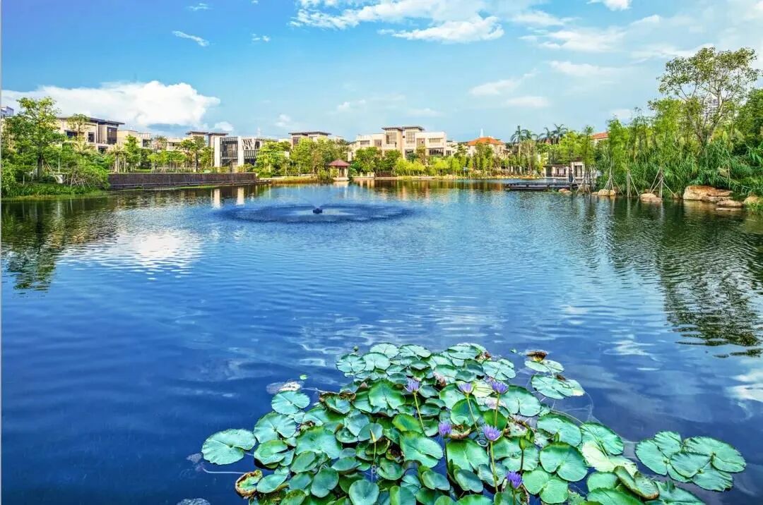 广州【天颐华府】260-312-390㎡独栋别墅200m²私家大花园