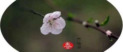 春绿北京城2︱三月桃花哪儿最美！在北京不用等三生三世！！