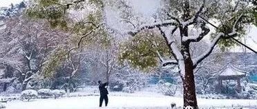 北京的冬天4︱让人啼笑皆非的火龙单到底是啥？