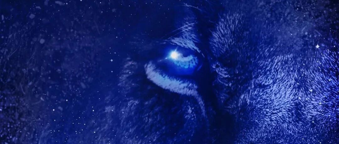 英超归来！看点何在？