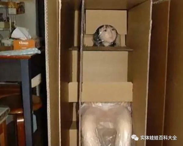 真人实体玩偶帅哥真人实体娃娃实战：海外新买的硅胶娃娃开箱-B哥情报局-飞机杯测评