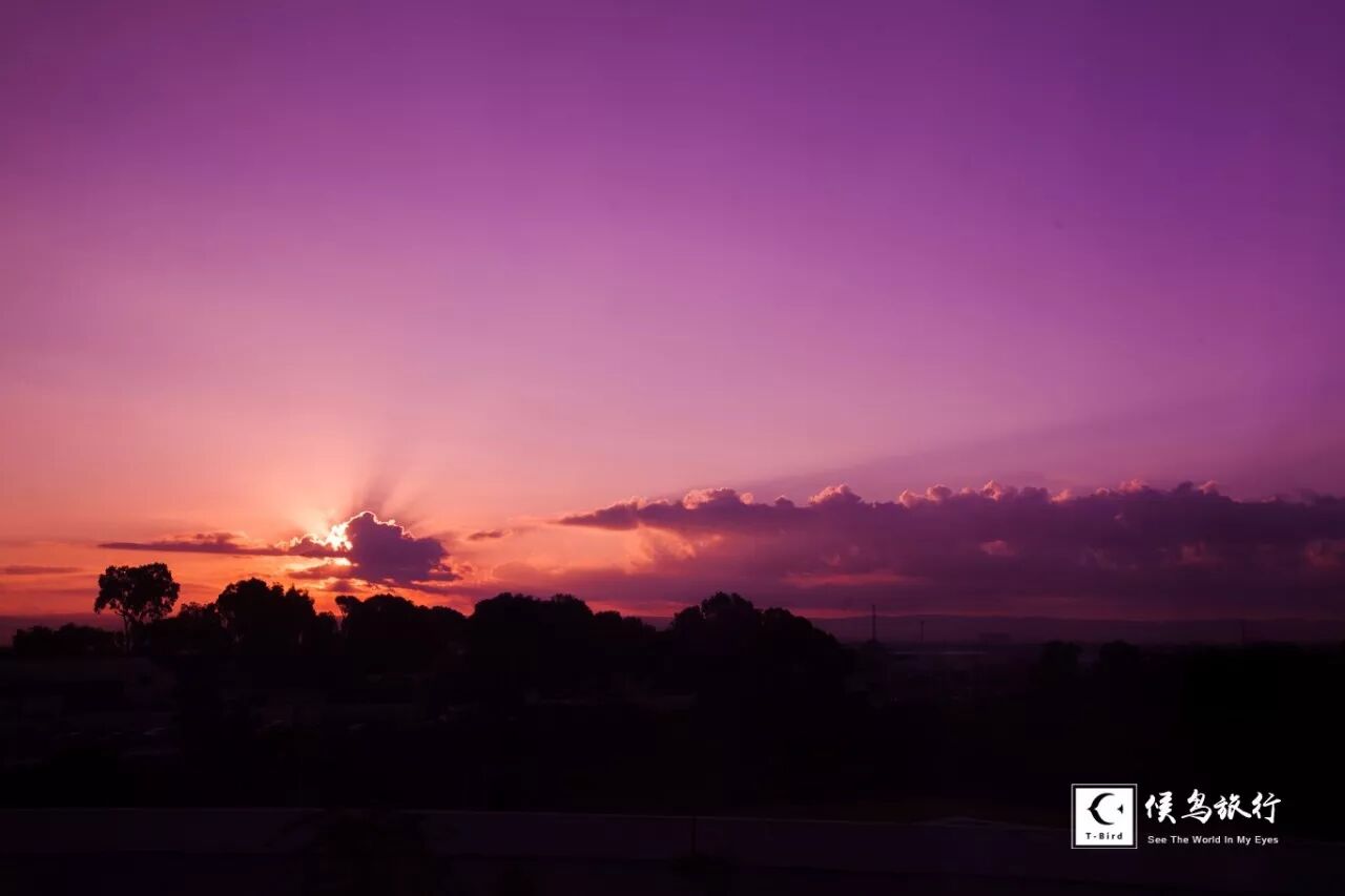 在这里，耶稣显神迹灌醉众人