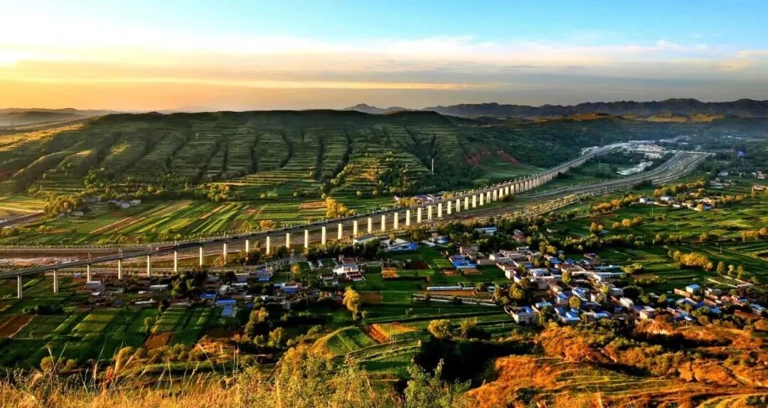 ↖ 最近刷屏的两个甘肃人 ↗,有一个共同点!-丝路明珠网