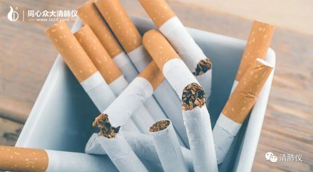 心肺仪是什么秋季是肺病高发期，肺有“5怕”？别担心，清肺仪来帮您_https://www.jmylbn.com_新闻资讯_第6张