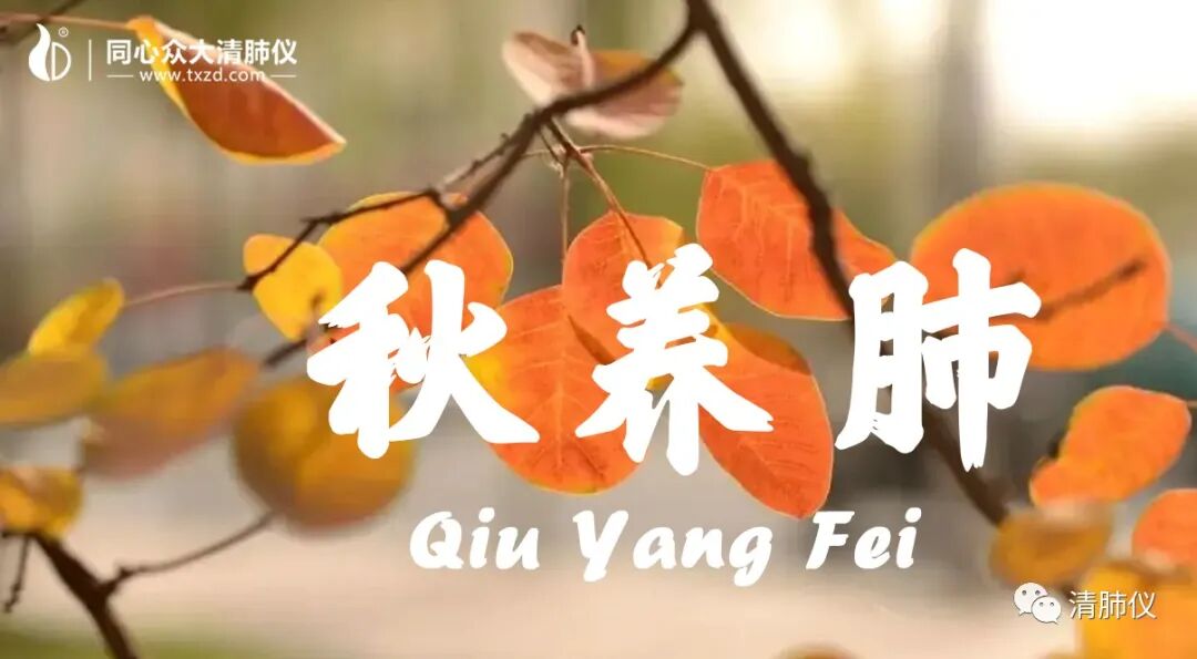 心肺仪是什么秋季是肺病高发期，肺有“5怕”？别担心，清肺仪来帮您_https://www.jmylbn.com_新闻资讯_第1张