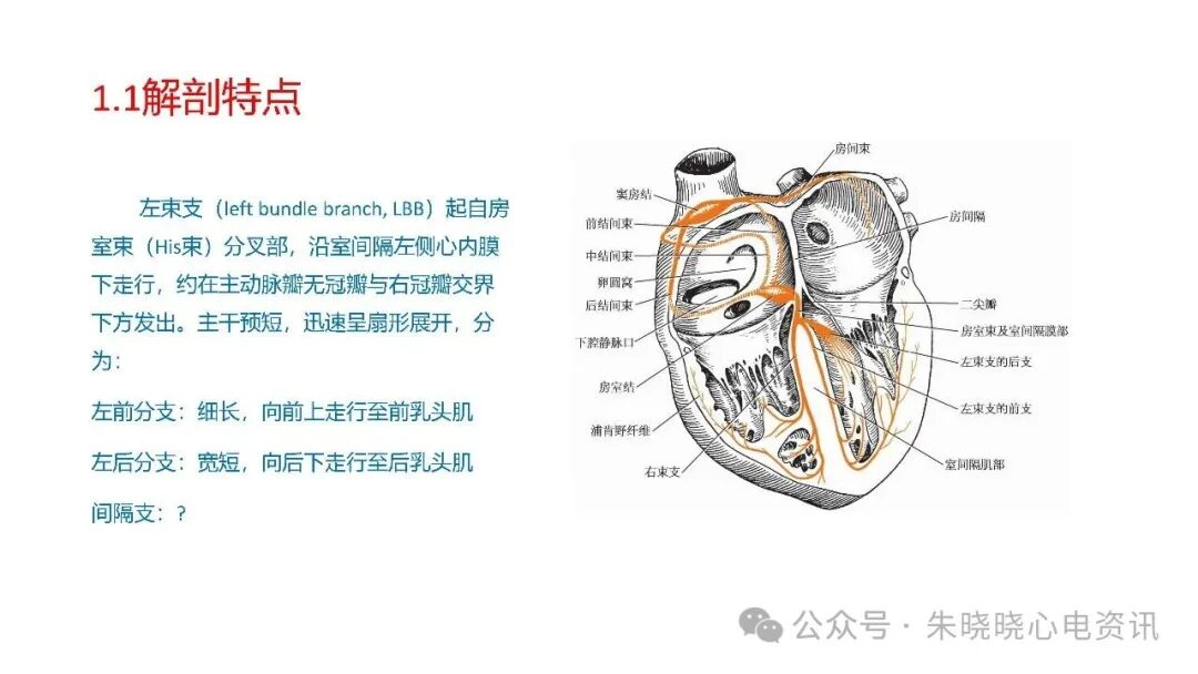 左束支阻滞再认识，实在太全了！