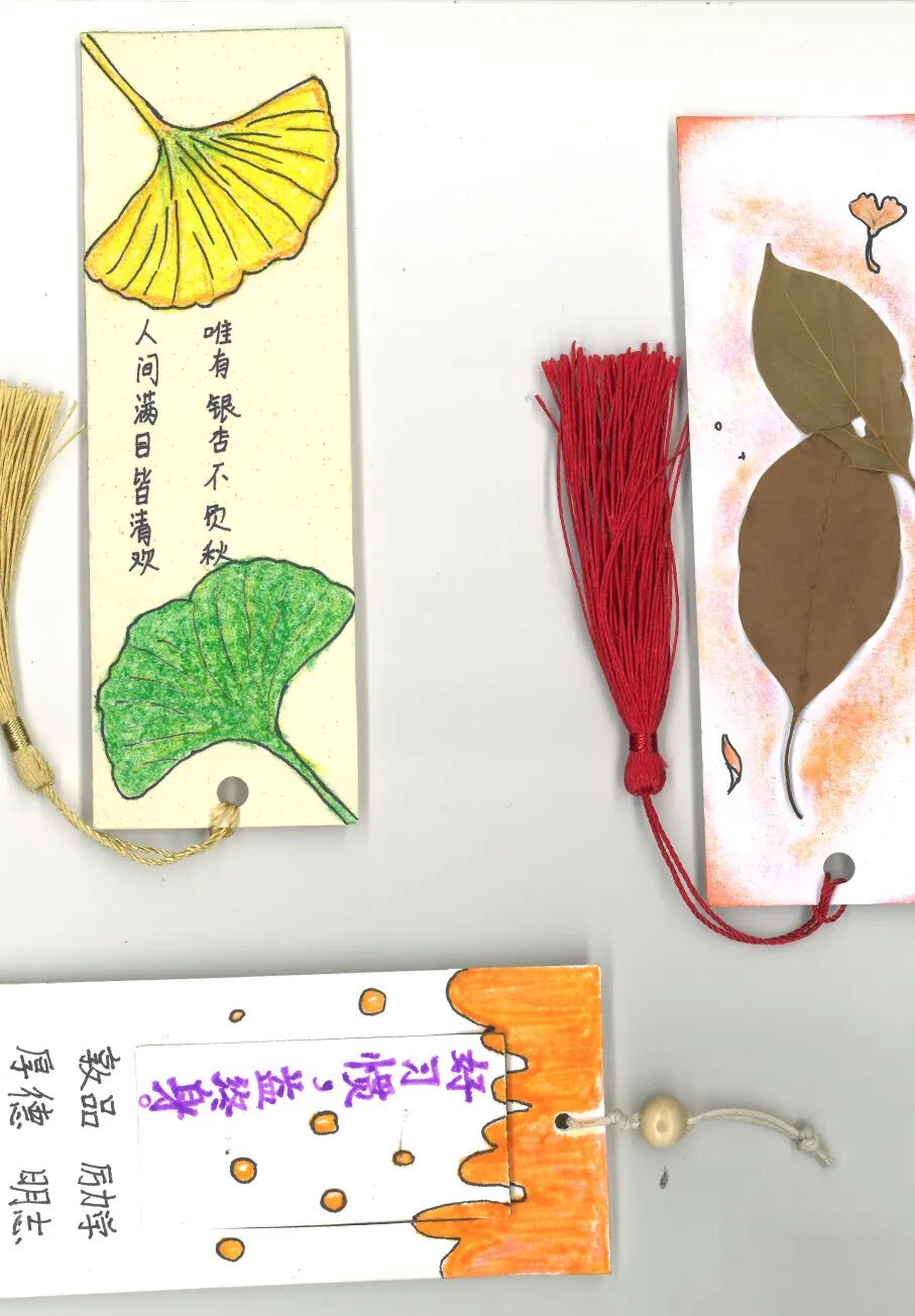 增益长智 | 方寸之间藏秋色，一书一签总关情——记湘潭市益智中学七年级语文特色实践活动