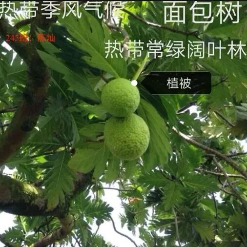 增益长智 | 用镜头解锁“身边的地理”——湘潭市益智中学八年级地理特色作业展示