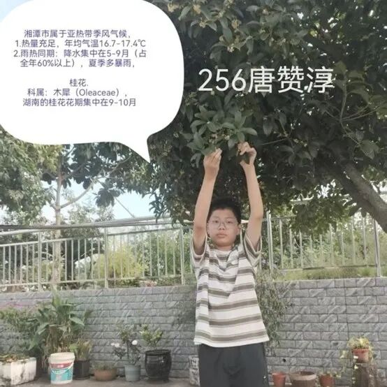 增益长智 | 用镜头解锁“身边的地理”——湘潭市益智中学八年级地理特色作业展示