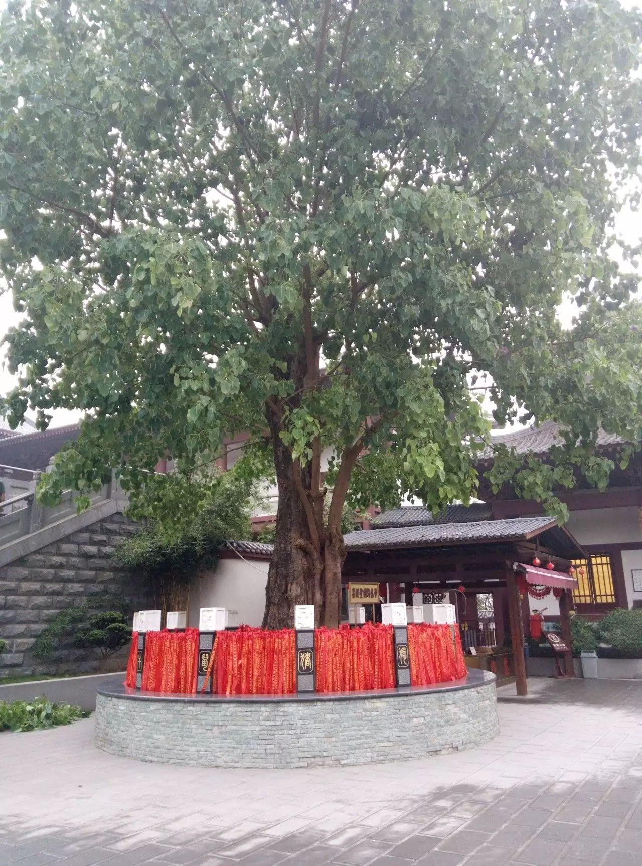 南宁万寿观音禅寺图片