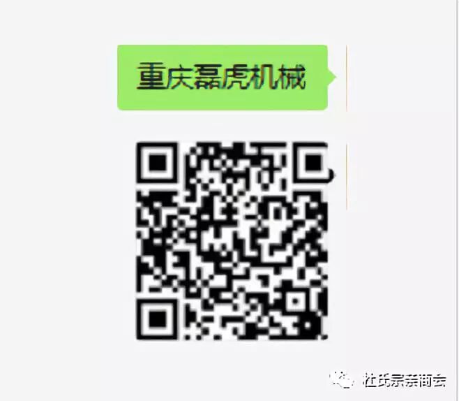 奔走相告（重庆 石磊）杜琪峰 重庆，(图11)