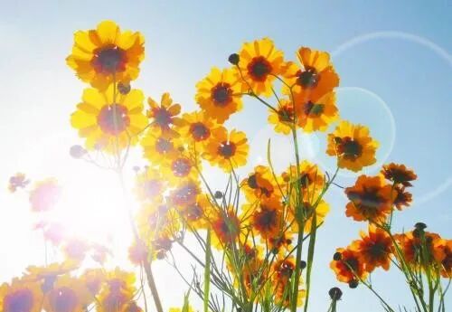 懂因果的人，从不占便宜！-图片2