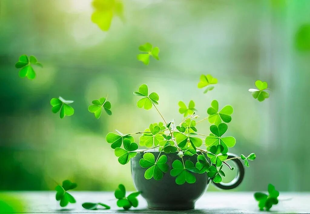 懂因果的人，从不占便宜！-图片3