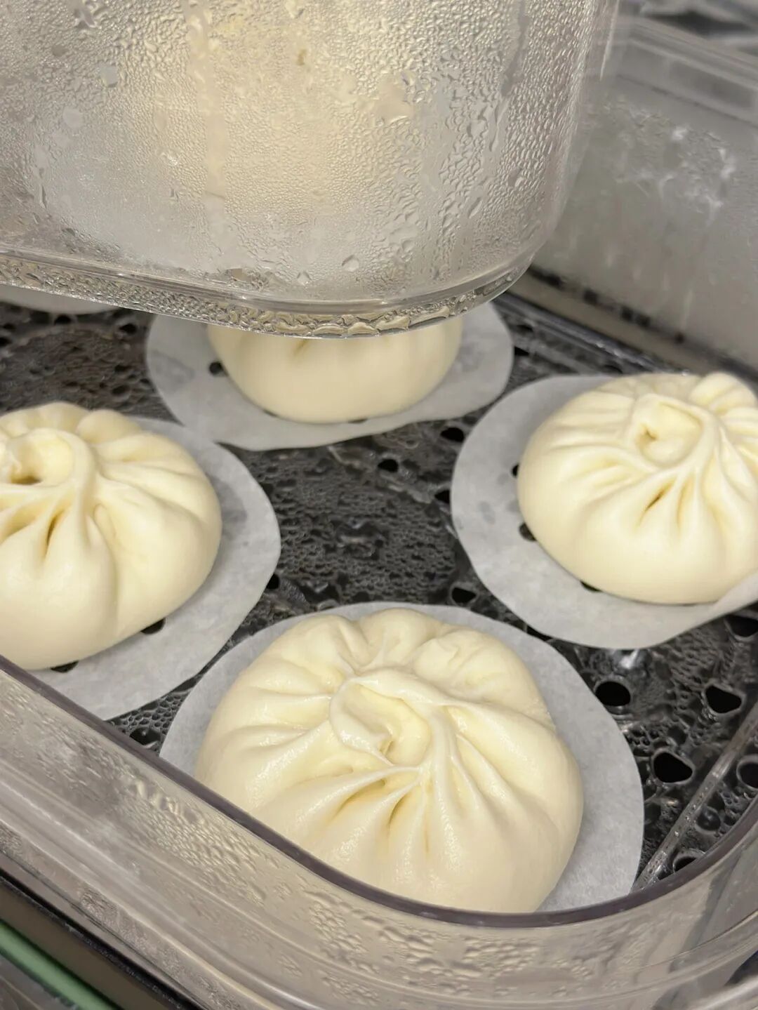 怎样发面做包子