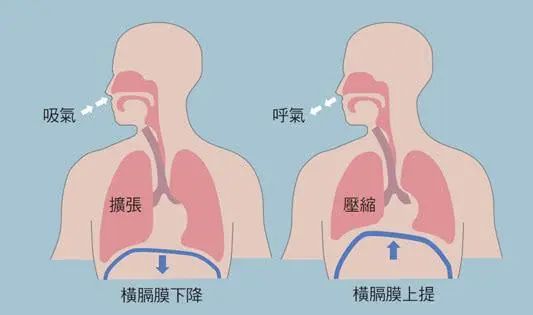 肺里的脏东西, 能洗出来吗? 4种天然洗肺方法, 学会受益一辈子