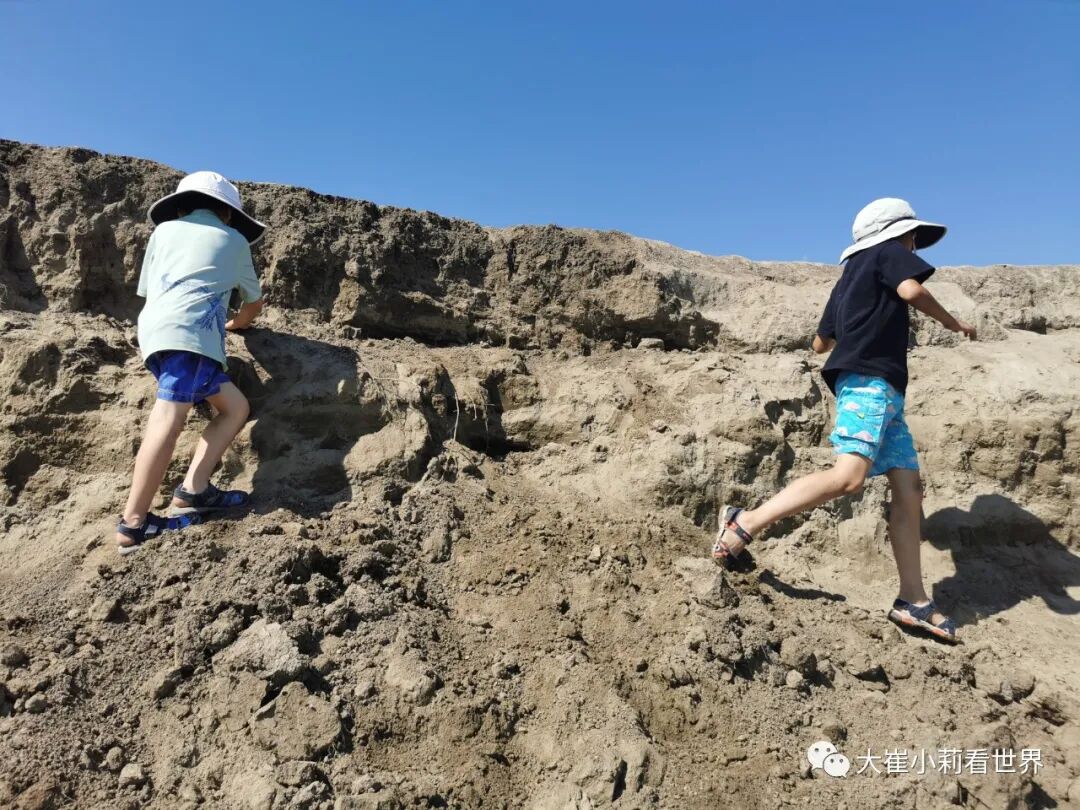 萨斯卡通 Poplar Bluffs