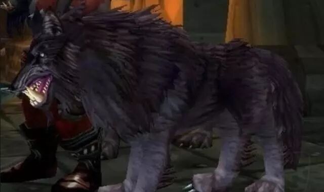 wow猎人必抓五只宠物_wow猎人怎么抓宝宝_wow刀疤兽王猎人怎么抓