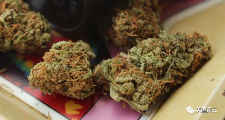 The Teenage Brain vs Ĵ