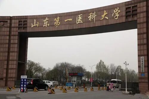 医疗设备怎么维修零基础高端就业┃山东第一医科大学医疗设备维修工程师 培训招生简章_https://www.jmylbn.com_新闻资讯_第6张