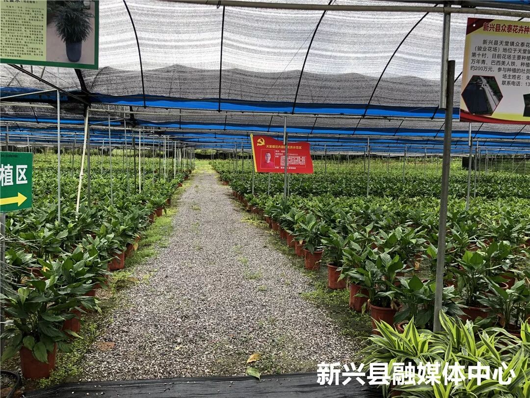 军人退伍创业优惠政策_2018军人退伍时间_种植创业项目