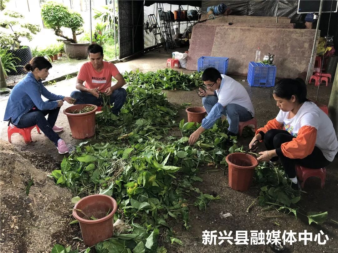 2018军人退伍时间_种植创业项目_军人退伍创业优惠政策