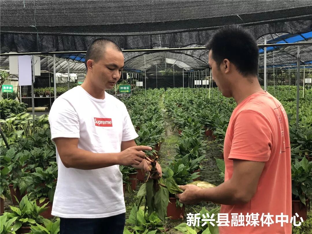 军人退伍创业优惠政策_2018军人退伍时间_种植创业项目